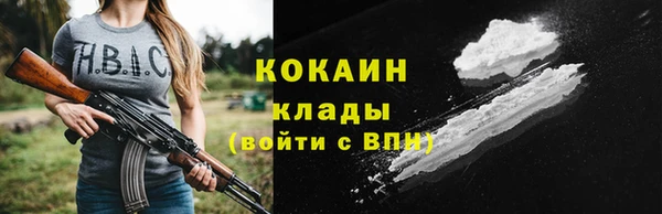 дживик Дмитров