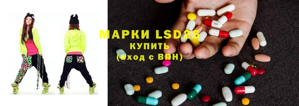 spice Дмитровск