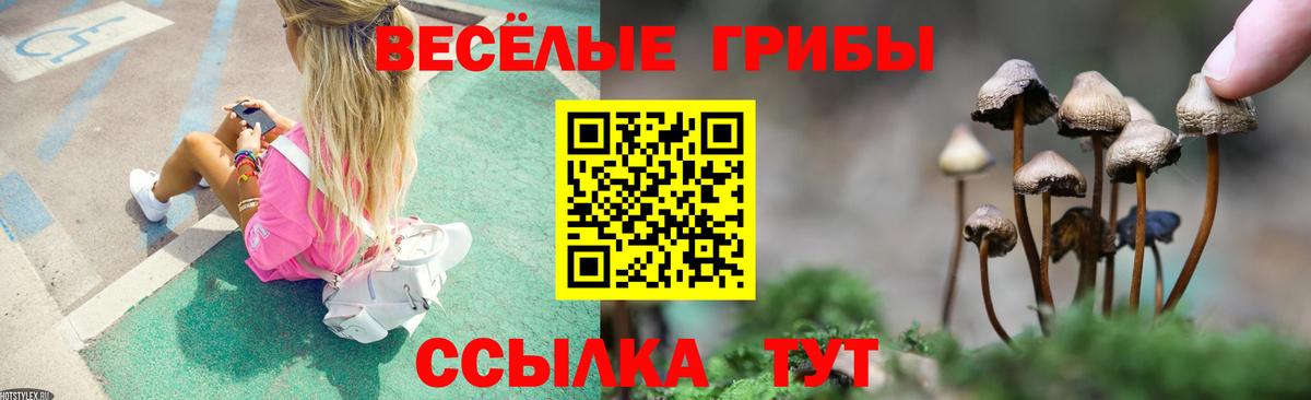 Осинники  Псилоцибиновые грибы мухоморы  Вход с VPN 