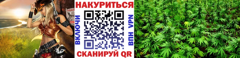 Конопля Amnesia Осинники