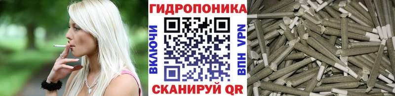 Шишки марихуана сатива  где купить   KRAKEN сайт  сайты даркнета как зайти  Осинники 